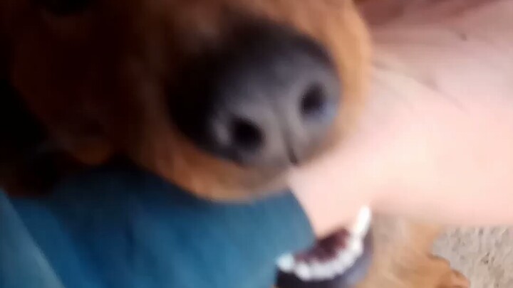 Your arm tastes pretty good