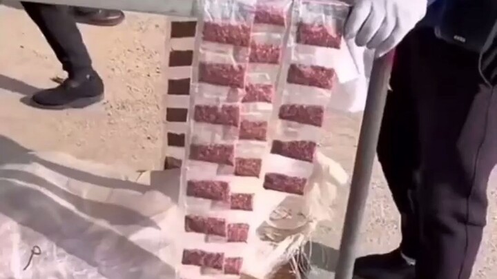 At a rural market, vendors sell rat poison—and rats serve as “ambassadors”!