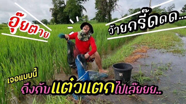 EP427หัวใจจะวายเมื่อเจอสิ่งนี้!!! ใครเป็นแบบผมบ้าง?