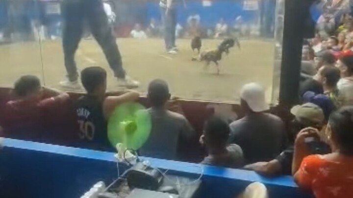 Nokiss naten sa silang cavite 🥰🐓