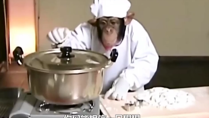 Can you believe that a gorilla can make glutinous rice balls by itself?