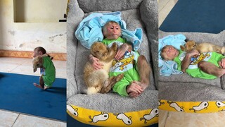 小兔和小猴子的世界~简简单单平平淡淡