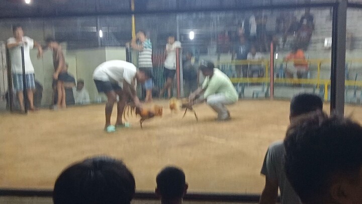 Champion Last Fight@Amlan Cockpit