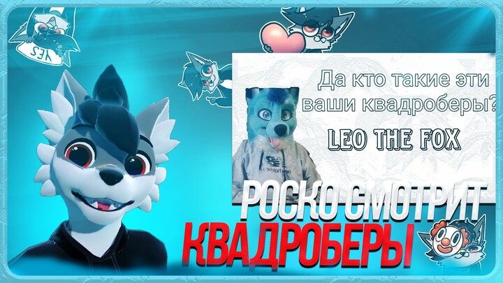 🐺 Роско смотрит Leo the fox - Кто такие это ваши квадроберы (Leo the fox)