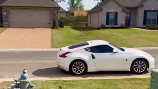 الولايات المتحدة: عشرات الملايين من النحل تتجمع على سيارة، فما السرعة التي يجب أن تسير بها السيارة ل