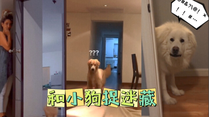 “和小狗玩捉迷藏的话…”