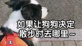 说实话，你去那地方就离谱。。。