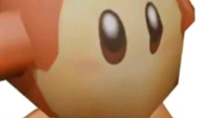 ⭐Do maggots lay eggs on dead maggots?⭐