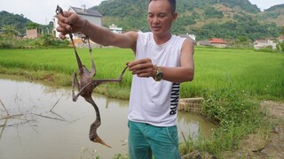 MÓN DỊ CỦA CHÚ ANH & CHÚ VĨNH