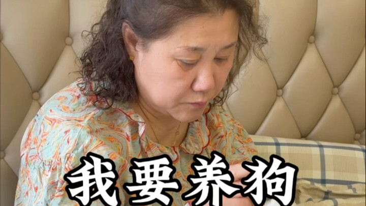 Apa salahnya ingin punya seekor anjing kecil?