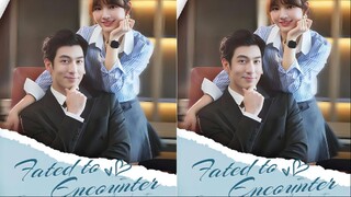 Fated to Encounter / Everlasting Love Contract