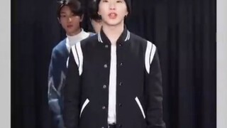 Seventeen Performance Team (Relay Pick)