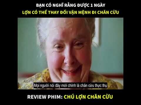 HIGHLIGHTS Phim : CHÚ LỢN CHĂN CỪU | Bạn có nghĩ rằng được 1 ngày lợn có thể thay đổi vận mệnh...