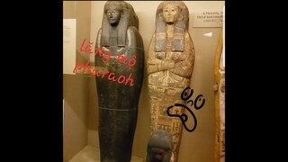 đi bảo tàng ở mỹ với trường học =))