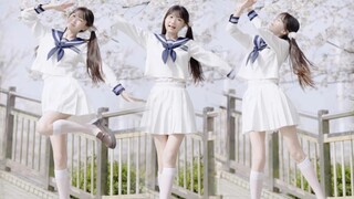 我永远喜欢JK！蝴蝶🦋涂鸦