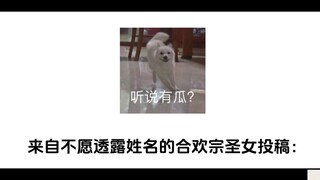 合欢宗的师兄师姐快来，这儿有个超好骗的剑修~