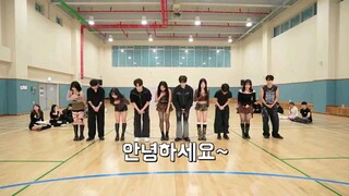 Artbeat - Rodeo Dance cover