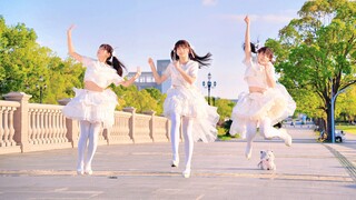 在夕阳下☀染上你的颜色！【咸猫】