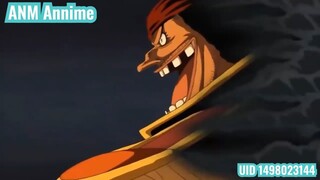 Marineford vs Wano - So Sánh 2 Trận Đánh Hoành Tráng Nhất One Piece #Anime #Schooltime