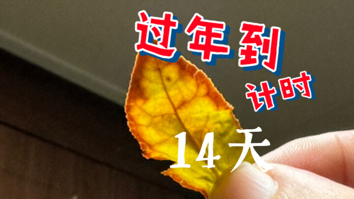 Don’t Chinese people understand tea?