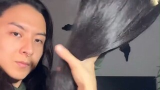 网友坚持把掉落的头发收集起来，最后居然有这么多