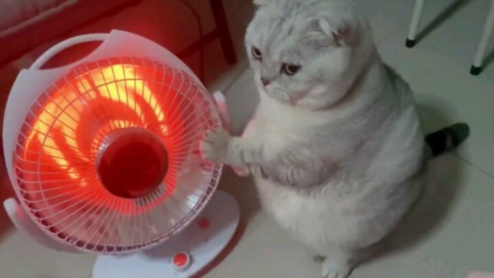 “这玩意怎么跟人一样”