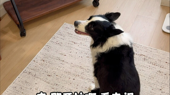 โกวซี่: ภัยพิบัติมักจะอยู่ข้างหลังฉันหนึ่งก้าวเสมอ...