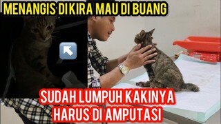 Mengharukan Kucing Lumpuh Menangis Di Kira Mau Di Buang Padahal Mau Di Oprasi..!