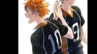 HINATA SHOYOU AND KAGEYAMA TOBIO(HAIKYUU!!)