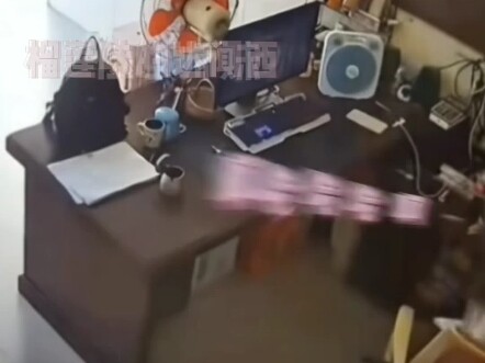 แมว: เห็นนายดีใจขนาดนี้ ครั้งหน้าจะให้ตัวใหญ่กว่านี้เลย!