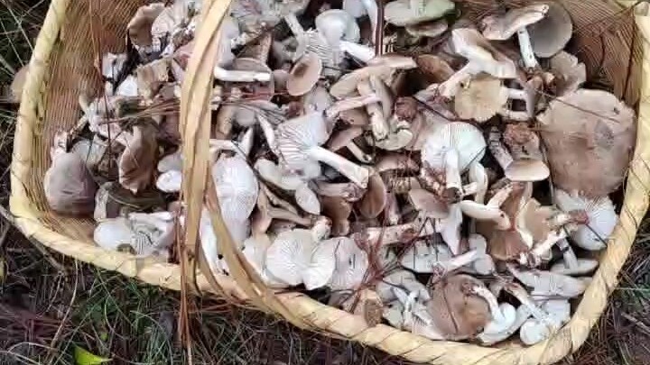 人生如冰山，显露的不过能力一角。真正托举格局的，是笃行的业力、守正的心力、不改的愿力。新的一天，早安！