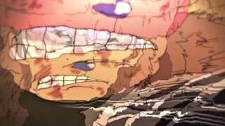"Chopper didn't protect Merry, thinking Usopp would reprimand him..." One Piece