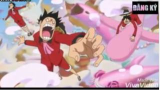 Những tình huống hài hước. Một bầy Luffy xuất hiện tại lễ cưới (One piece 832)