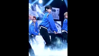 【NCT Kim Doyoung】Click để xem màn vẫy tay dễ thương của thầy Diao