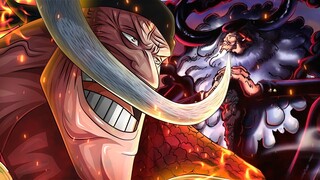 Thánh SATURN Vs RÂU TRẮNG (ROCKS) - One Piece 1101 | Cân Nhắc One Piece 1102