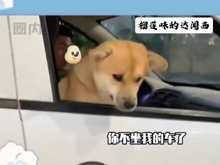 หมา: แกน่ะไม่ใช่ญาติยากจนของฉันหรอก