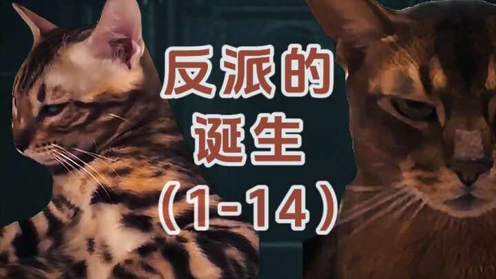 反派的诞生1-14集