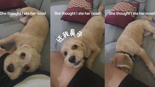 快把鼻子还我！