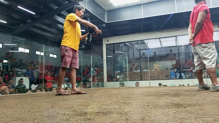 BLUE diamond arena #sabong