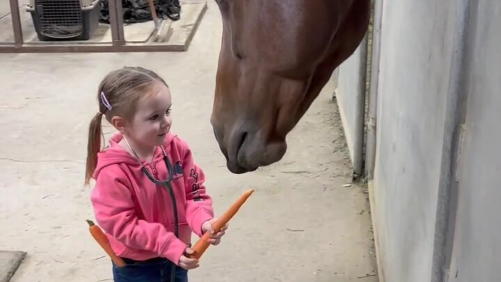 Little girl feeding the horse