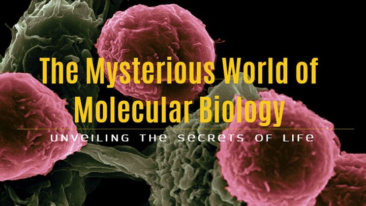 The Mysterious World of Molecular Biology- Unveiling the Secrets of Life