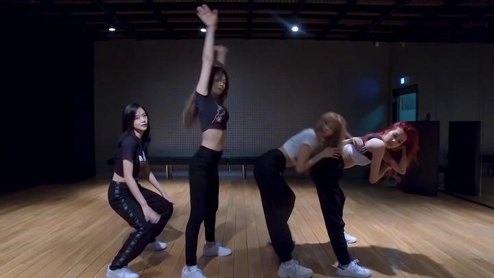 ddu ddu ddu black pink dance practice