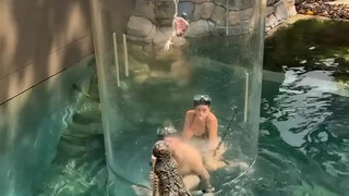 在澳大利亚的"死亡之笼"里与巨大鳄鱼共处