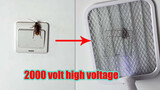 [Experiment] Kill a cockroach using 2000 volt electrical swatter