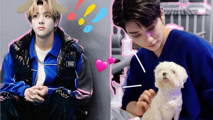 “Aku juga nggak mau shipin! Tapi dia lagi ngintipin dia!”