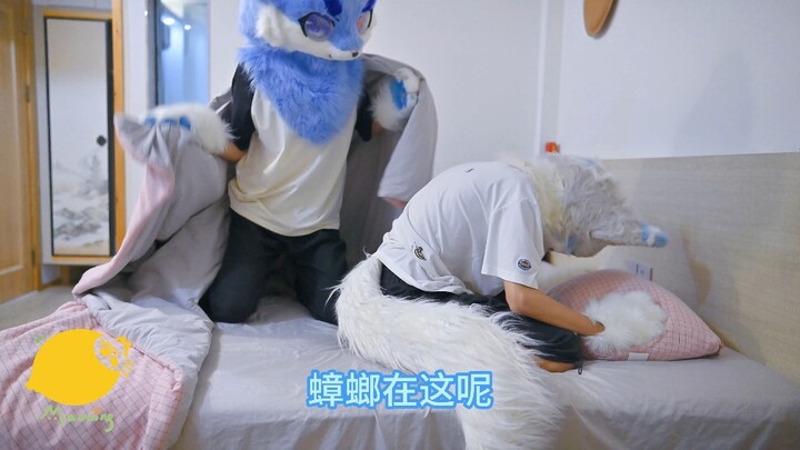 This cockroach is not only huge, it’s also a total eyesore!