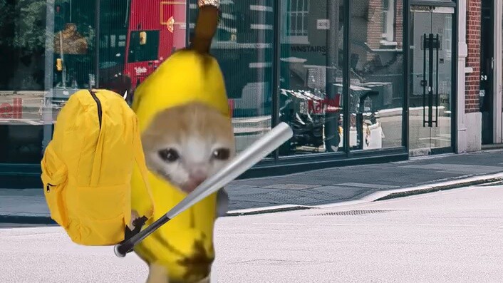 Banana Cat robs and is robbed!