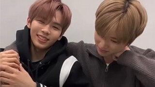 【可爱年上×腹黑年下】谁磕拉了我不说