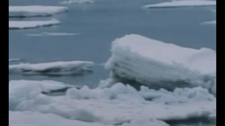 【Shen Yue】It’s raining heavily, let’s sing a song (slightly better than last time)