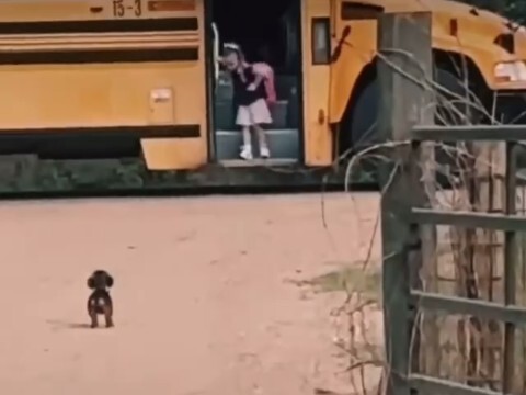 Hidup ini singkat, tapi si kecil manis banget!